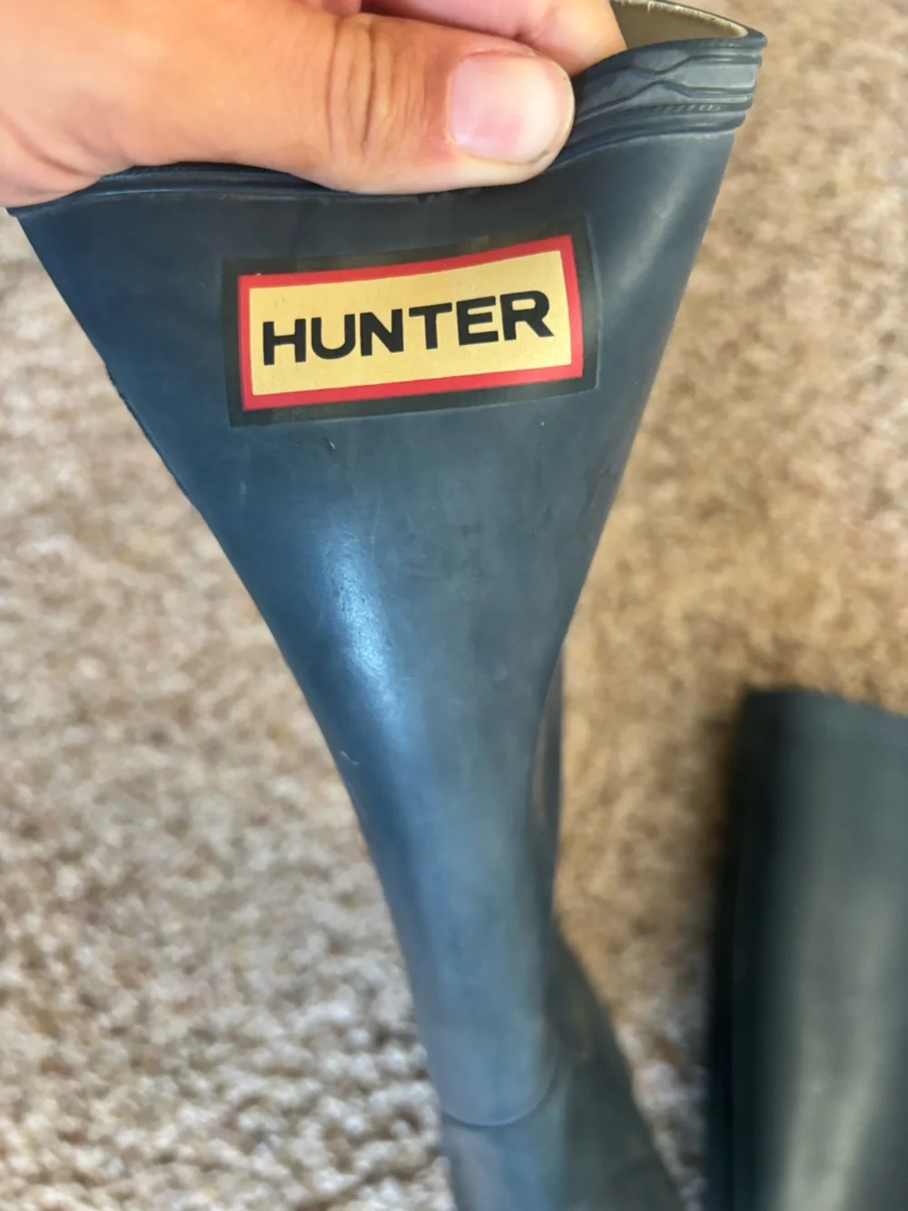 Hunter original tall